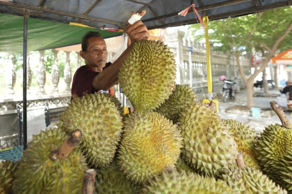 China Shifts Agricultural Trade Dynamics on a Global Scale