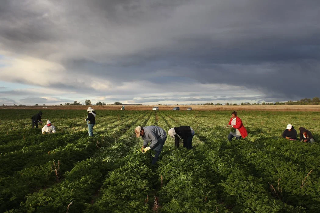 The Essential Role of Latino Labor in Colorado's Economy
