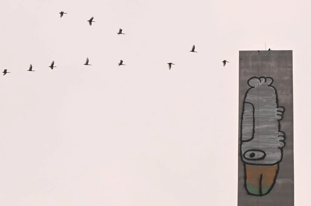 Pam the Bird graffiti is seen on the eastern pylon of the Bolte Bridge in Melbourne on Tuesday. Photo: EPA Pam the Bird graffiti is seen on the eastern pylon of the Bolte Bridge in Melbourne on Tuesday. Photo: EPA