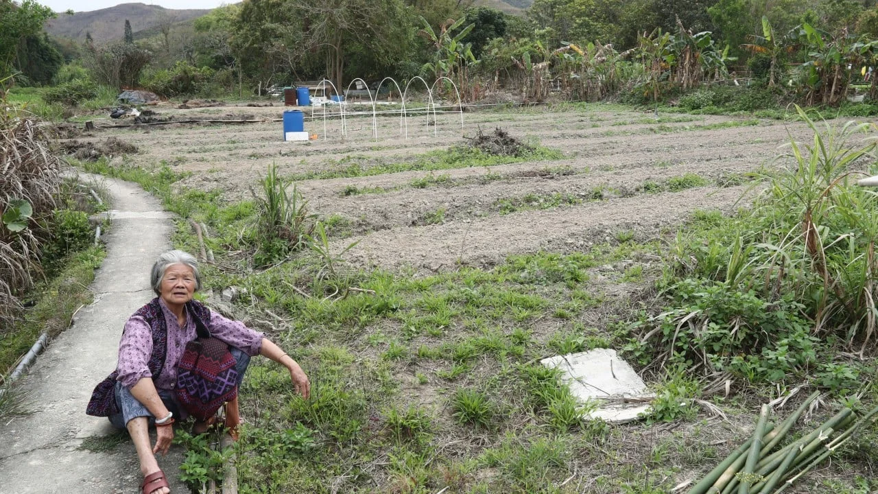 Hong Kong’s Northern Metropolis project needn’t neglect agriculture