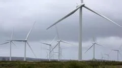 Green Jobs Generate £10.2 Billion for Scotland's Economy, Reports CBI