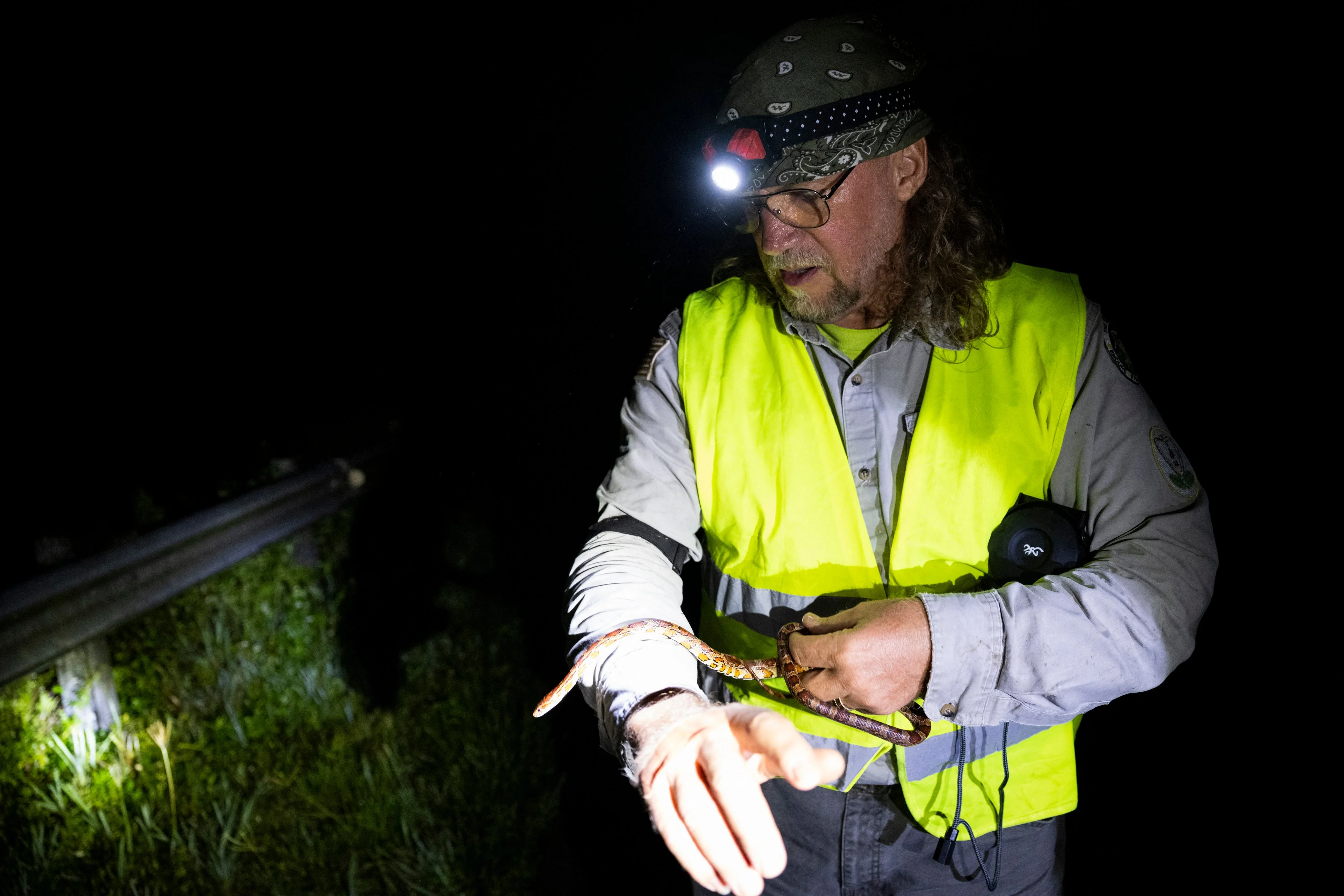 The use of headlamps and flashlights is permitted to catch the snakes. But other tools or weapons are not