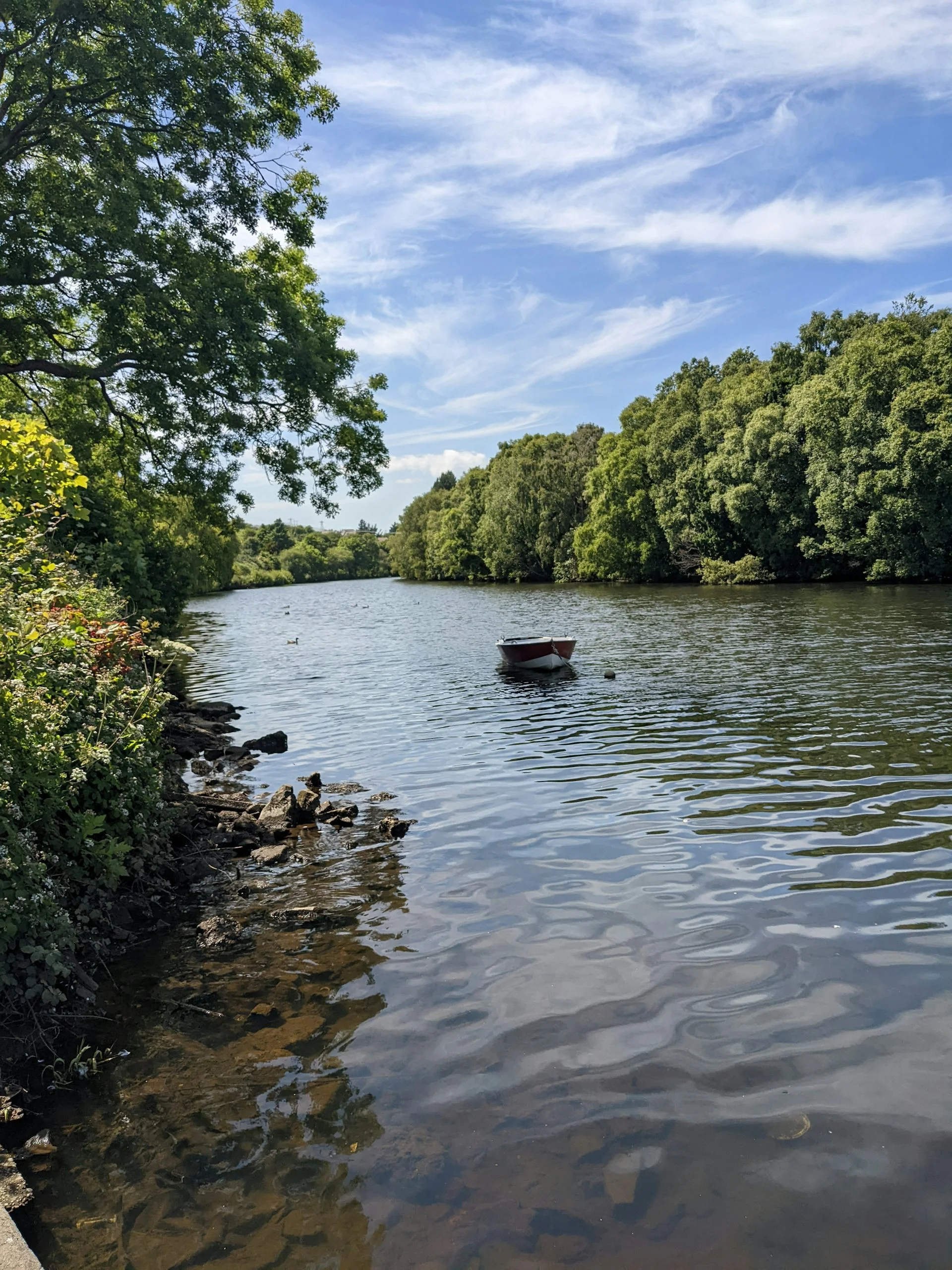 River floating between a line of trees, a boat floating placidly in the middle of the water under blue skies and white clouds