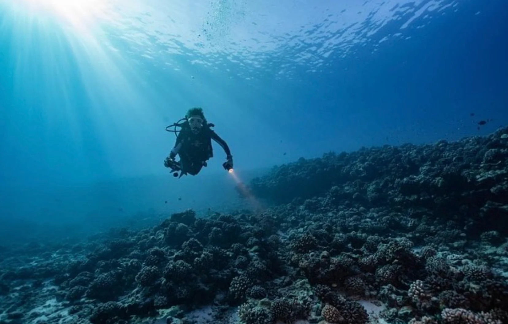 Sylvia Earle dives at Tetiaroa Atoll in French Polynesia. Earle has been spending time in the ocean since she was three years old