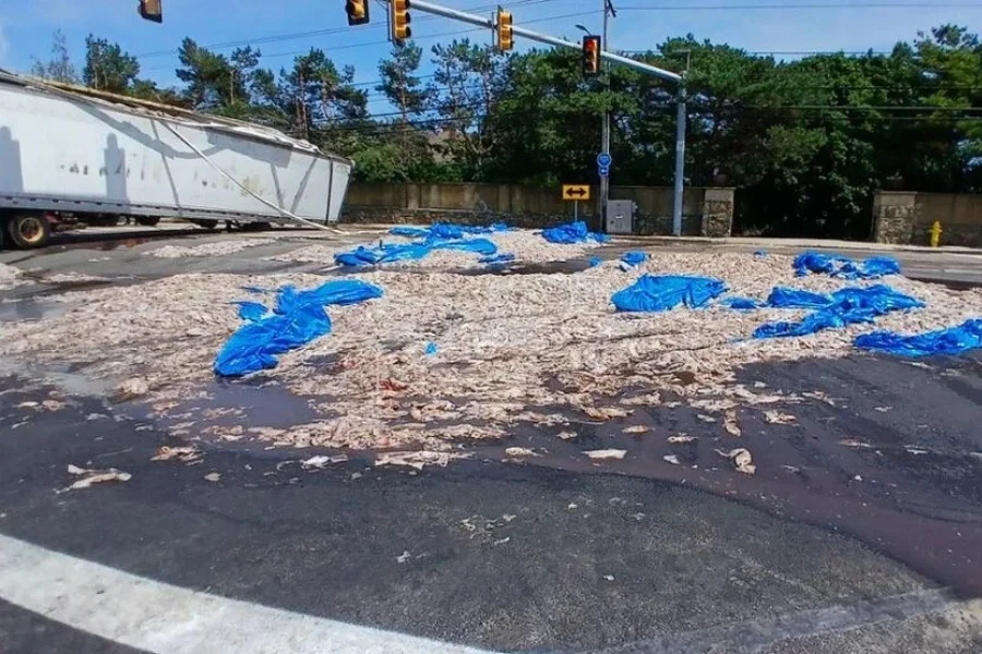 A tractor-trailer carrying more than 20 tons of squid rolled over Sunday in Narragansett, Rhode Island, spilling a 'substantial portion' of its cargo onto the road