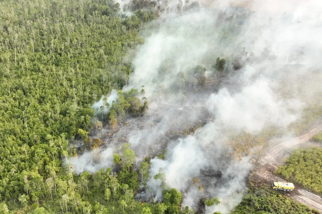 Smoke billows on Friday as a wildfire rages through a peatland forest in Bulungan, North Kalimantan, Indonesia. Photo: BNPB/AP