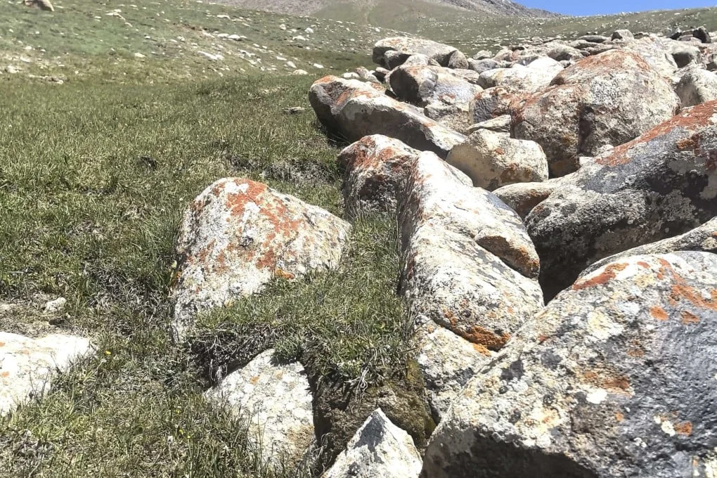 Lichen on rocks in the West Kunlun Mountains, southwest of China's Xinjiang Uygur autonomous region. Photo: Li Yang and team