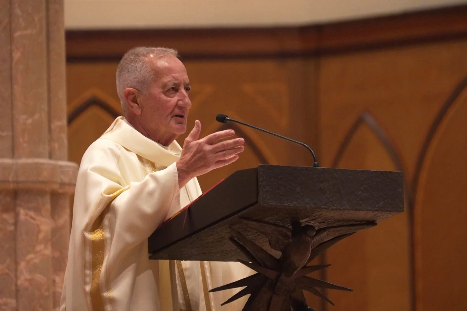 US Pope Leo Cancer Reactions