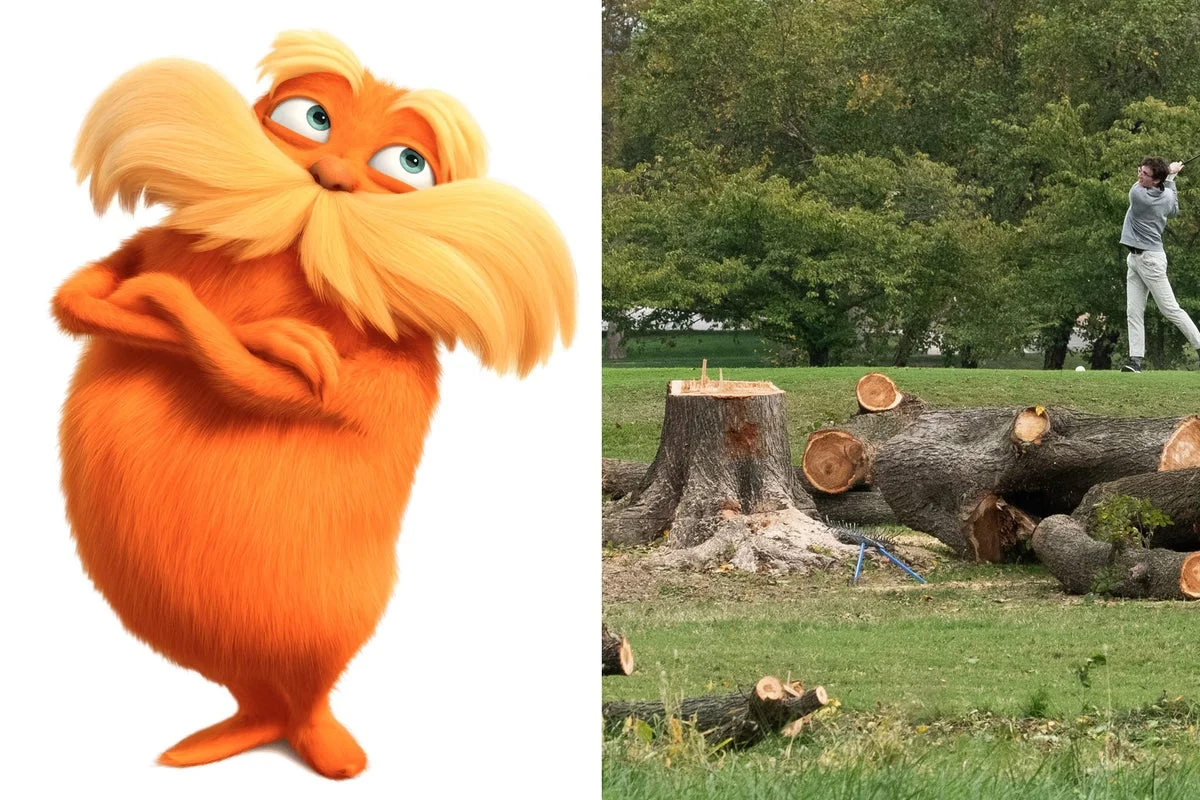Trump rebuked by judge who cites Dr. Seuss in DC golf course ruling: ‘Just ask the Lorax’