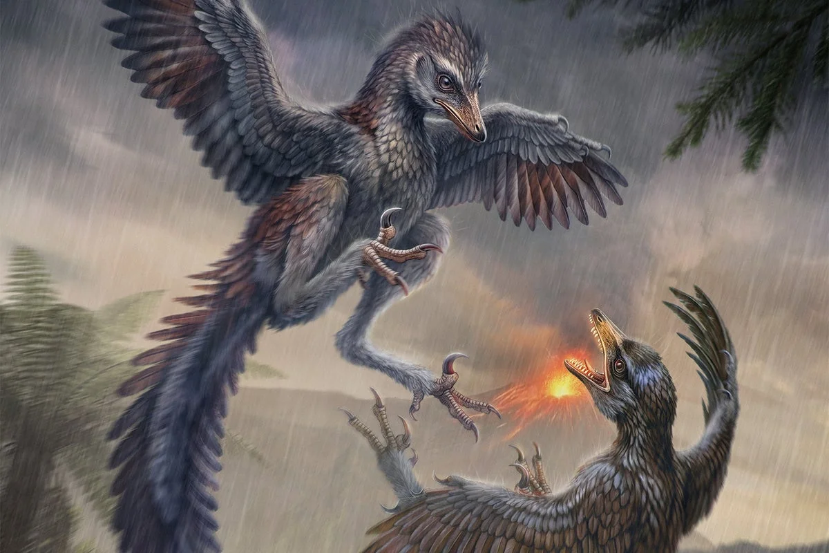 Newly-discovered fossil of ‘Frankenstein’ bird leaves scientists stunned