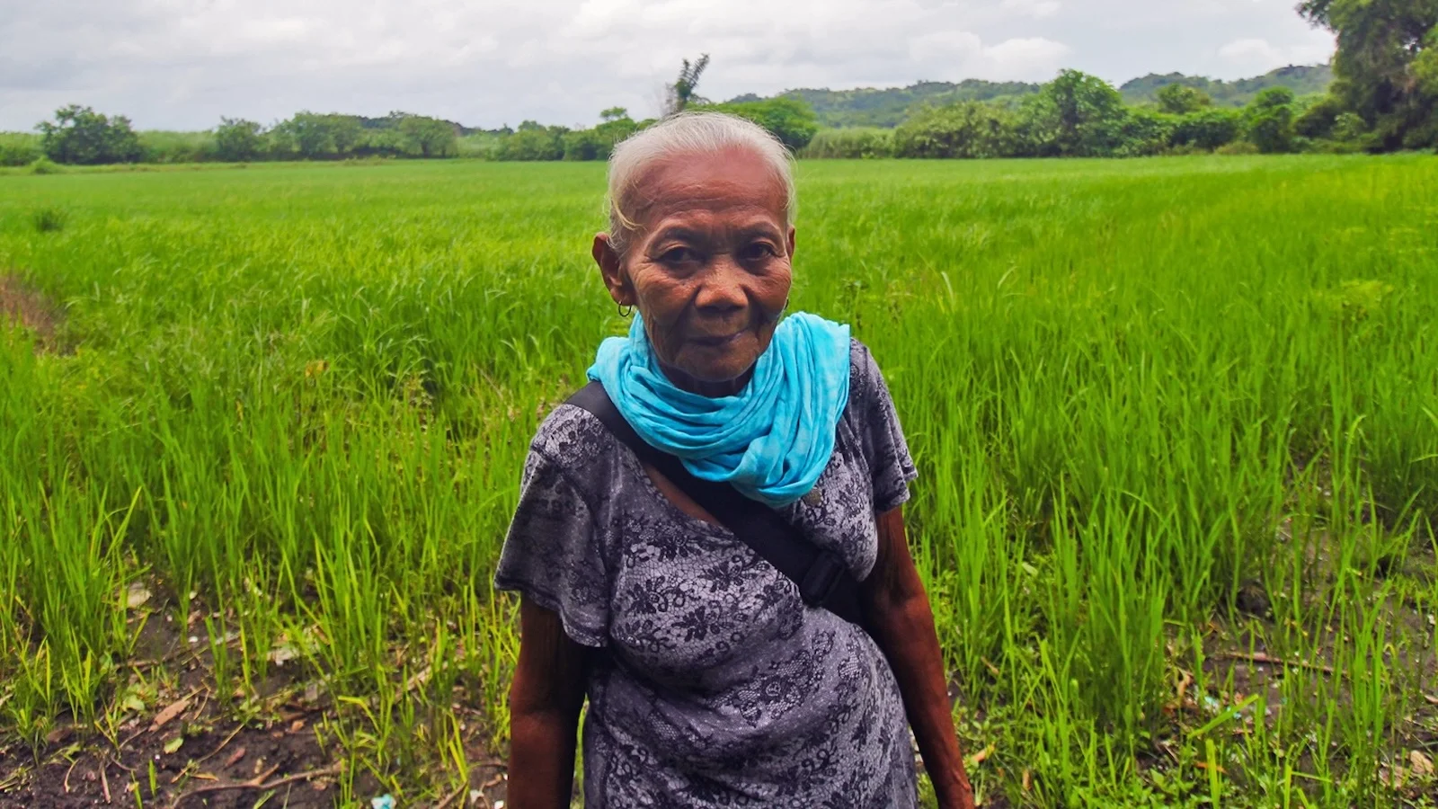 An elder of the Aeta Hungey tribe is seen standing in a lush green field.