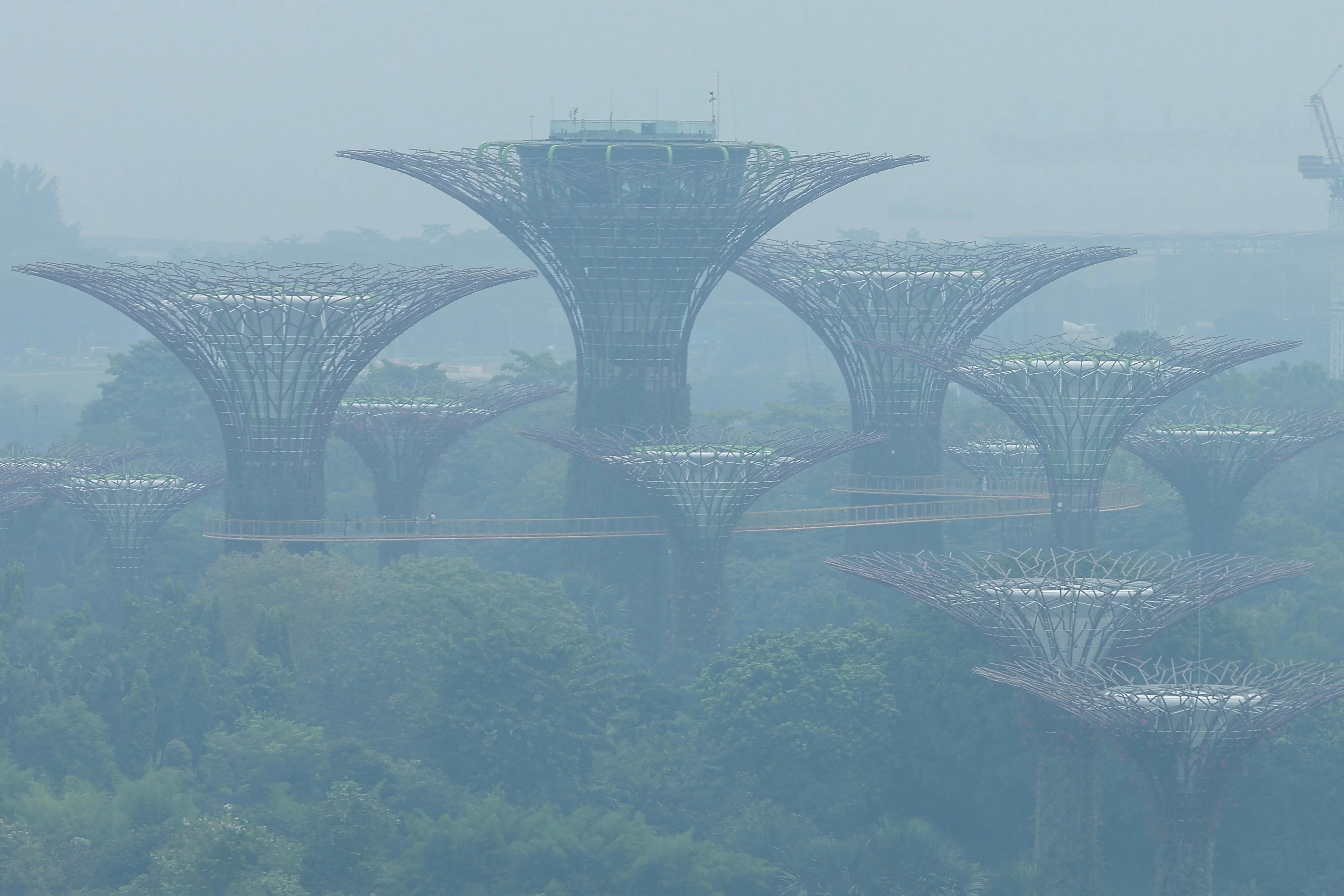 A thick haze shrouds the iconic “Supertrees” at Gardens by the Bay ahead of the 2026 Formula One Singapore Grand Prix in Singapore on Saturday. Photo: EPA