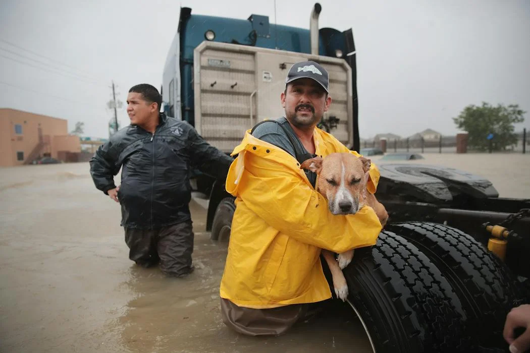 How much rain can a hurricane make, and does the storm size matter?