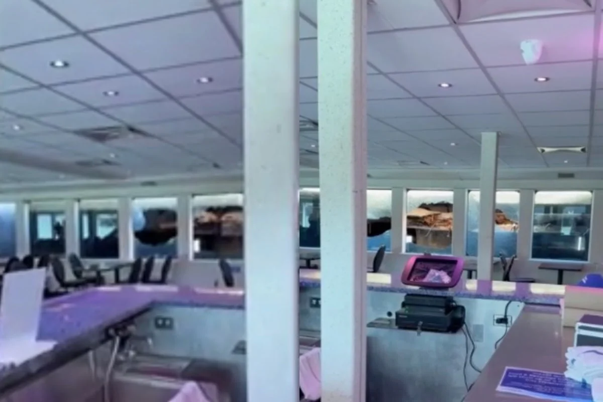 Alcatraz Ferry Collision Leaves Passengers Shocked and Injured